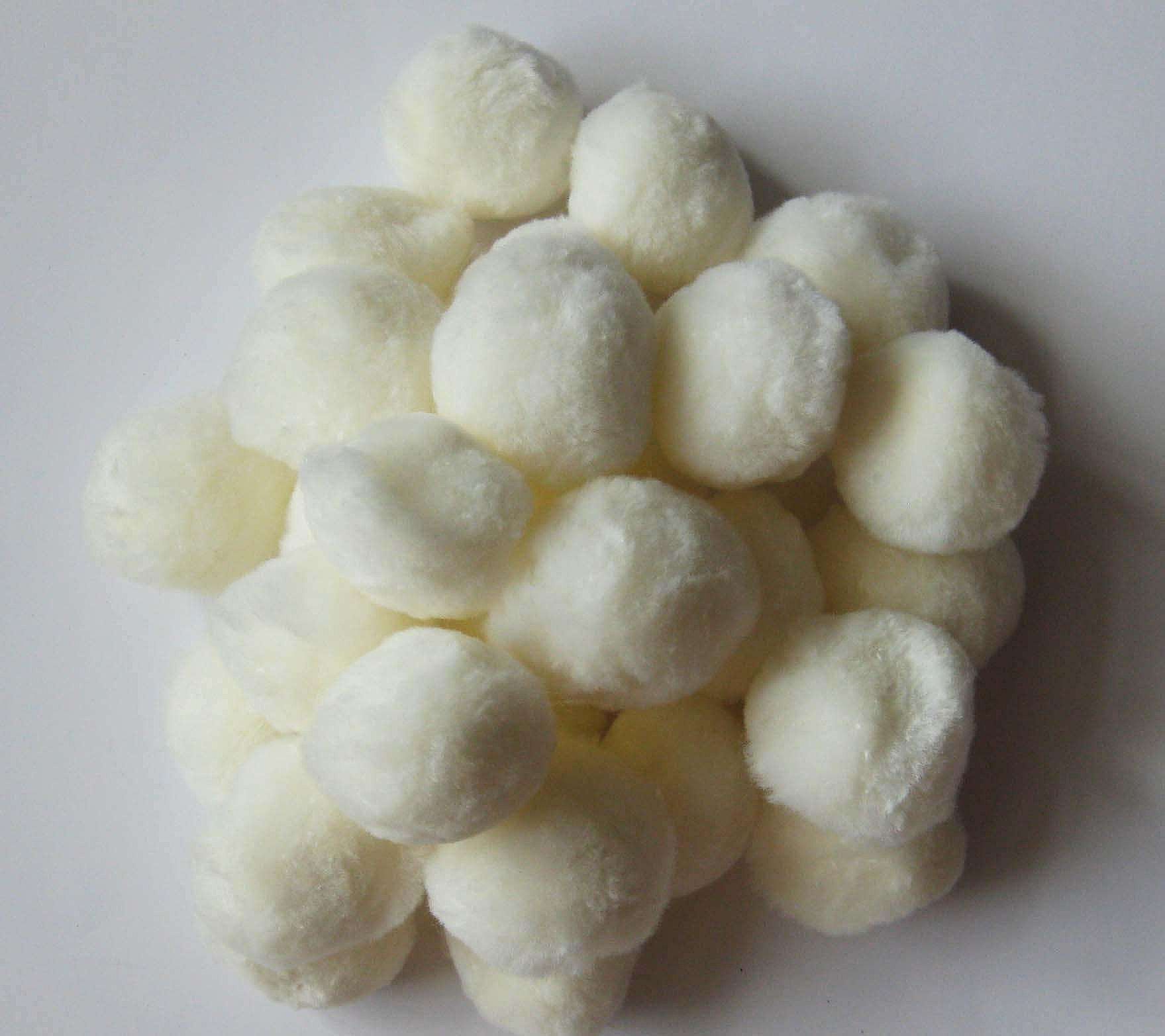 �����w�S��